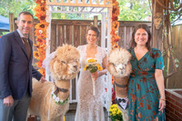 John & Rachel's Wedding Party Portraits (Matte)