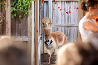 John & Rachel's Wedding Ceremony
