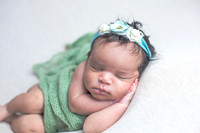 Baby Rayna's Newborn Portraits (Matte)