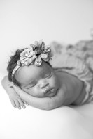 Baby Rayna's Newborn Portraits (B&W)