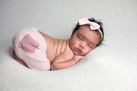 Baby Rayna's Newborn Portraits