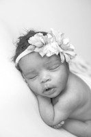 Baby Rayna's Newborn Portraits (B&W)