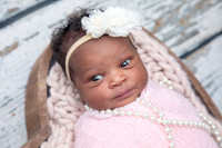 Baby Eliana's Newborn Portraits