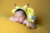 Baby Krishna's Newborn Portraits