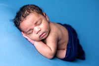 Baby Barkon's Newborn Portraits