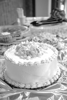 Michael & Darlena's Wedding Reception (B&W)