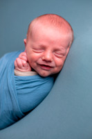 Baby Cameron's Newborn Portraits