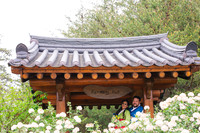 Jonathan & Rani's Wedding Reception