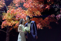 Bridal Portraits (Matte)