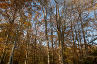 Sara At Burke Lake November 2014