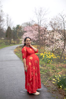 Devika's Maternity Portraits (Matte)