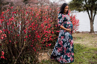 Siobhan's Maternity Portraits