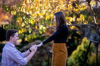 Caleb & Miranda's Surprise Engagement Portraits