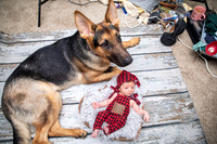 Baby Wyatt's Newborn Portraits