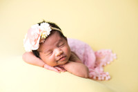 Baby Tara's Newborn Portraits