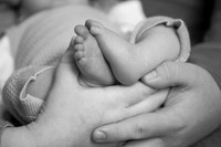 Baby David's Newborn Portraits (B&W)