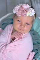 Baby Savannah's Newborn Portraits (Matte)