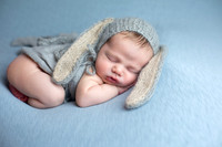 Baby David's Newborn Portraits