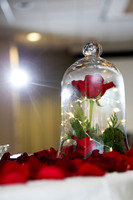 Cavan & Natsuki's Wedding Reception